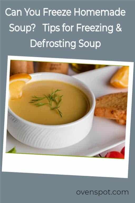 CanYouFreezeHomemadeSoup_TipsforFreezing&Defrosting PIN OvenSpot