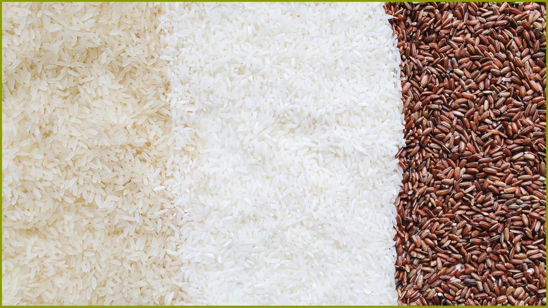 How Long Does Rice Take to Cook in a Rice Cooker?