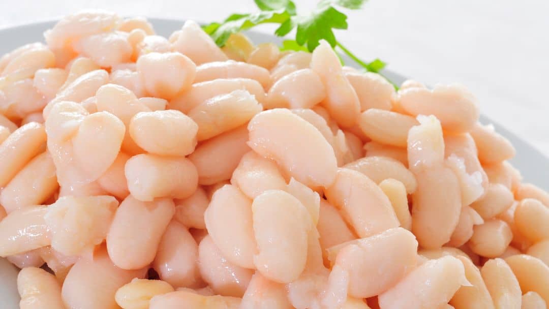 Can You Cook Beans In a Rice Cooker? OvenSpot