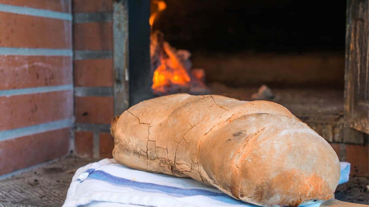 What can you cook in a wood fired oven
