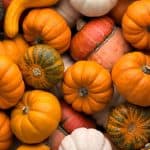 types of pumpkins