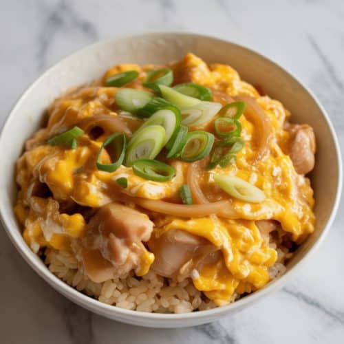Rice Cooker Oyakodon