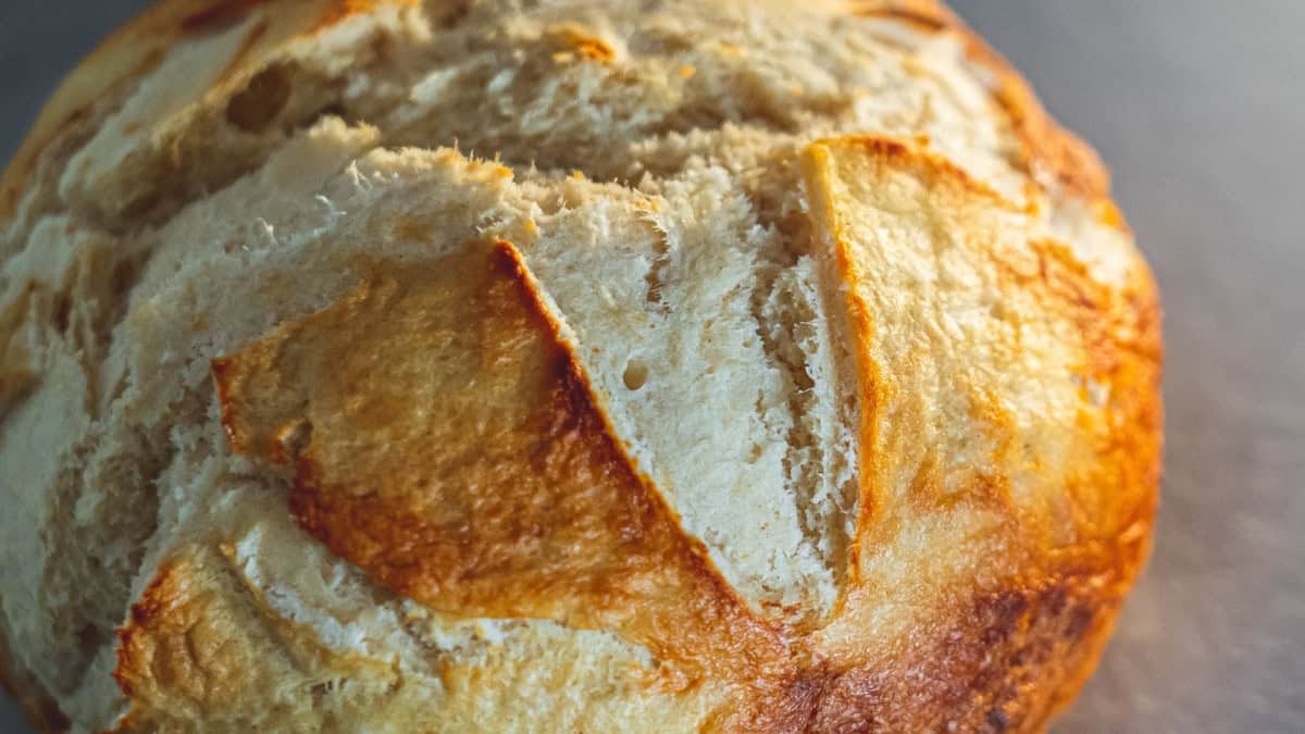 no knead dutch oven bread