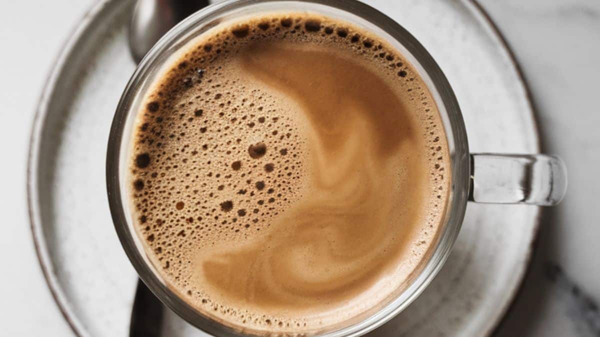carnivore coffee