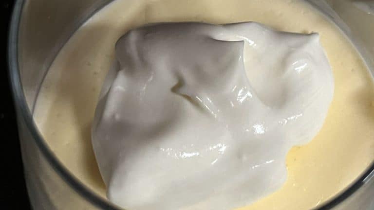 carnivore pudding cups whipped cream