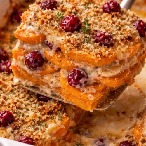 Slice of sweet potato and cranberry gratin being lifted from a white baking dish, showing creamy layers, tart cranberries, and a golden, crunchy topping