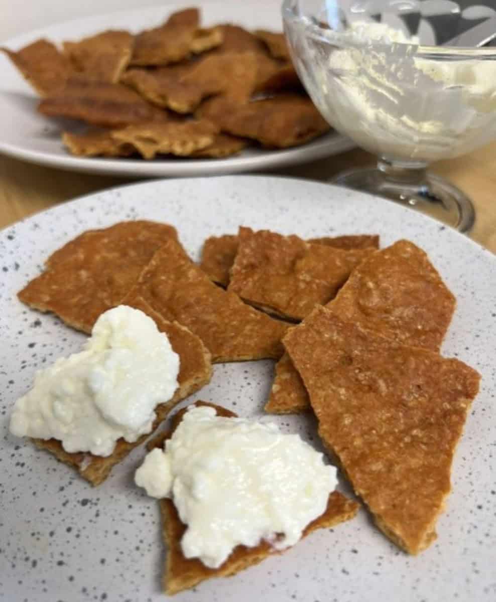 carnivore chicken chips with cottage cheese dip